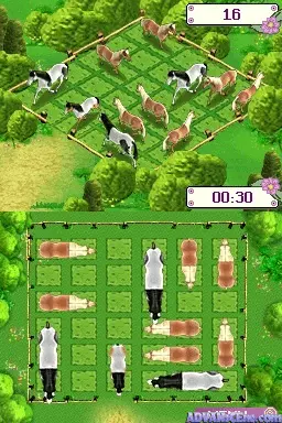 Image n° 3 - screenshots : I Love Horses (v01)